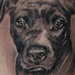 Tattoos - Dog Portrait - 98957